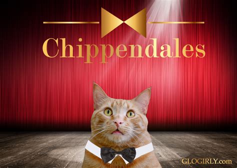 Behind the Curtain: The Lives of the Chippendales Cats behind the Scenes